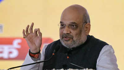 UP polls to decide next 20 years of state: Amit Shah | India News - Times  of India