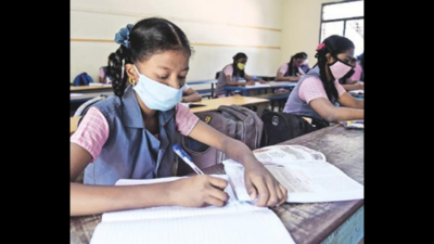 Covid curbs off: Tamil Nadu schools, colleges to reopen on February 1