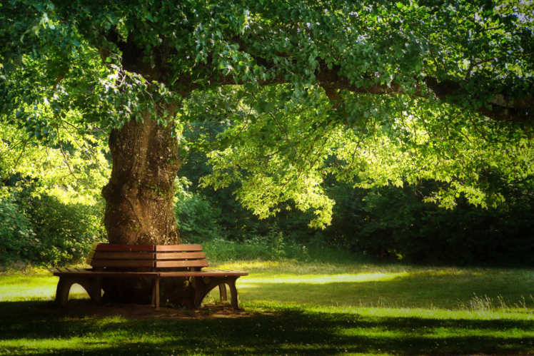 Home to Asia&rsquo;s biggest park