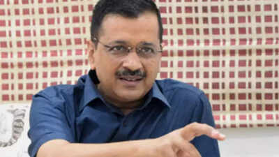AAP offers 10-point agenda for cities of Punjab