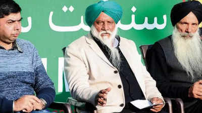Punjab assembly elections: Action against corrupt, cheaper power, interest-free agriculture loans, says Balbir Singh Rajewal