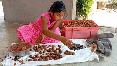 Telangana: With 65,000 seeds, Sircilla girl sets out on path to plant a green future