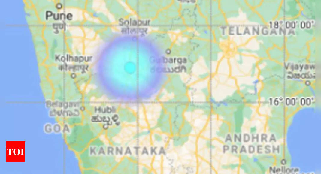 Karnataka: Magnitude 3 earthquake strikes Vijayapura |  pregnant news