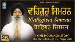 Watch Latest Punjabi Bhakti Song &lsquo;Naam Simran&rsquo; Sung By Bhai Sahib Bhai Harjinder Singh Ji