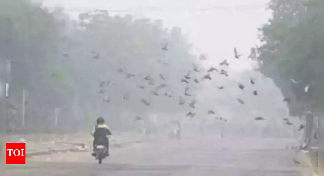 Rise In Temperatures Continues In State Jaipur News Times of India