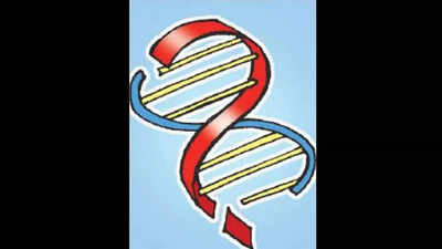 Male infertility gene: International research has city DNA
