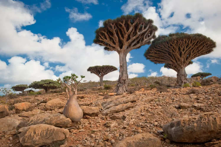 Beauty amidst danger: the most beautiful things to see in dangerous ...