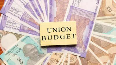 Experts want Centre to set aside 'green expenditure' funds in Budget