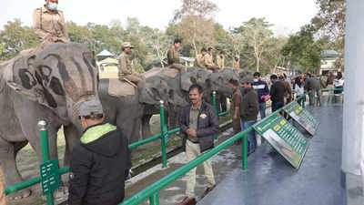 Assam: Kaziranga tourists can now feed jumbos at Mihimukh | Guwahati News -  Times of India
