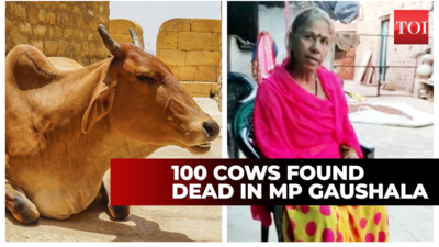 Bhopal: Govt orders probe into 100 cow deaths in gaushalas