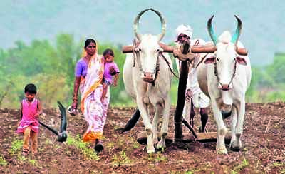 Farming gets hi-tech sauce in budget, kisan drones set for takeoff