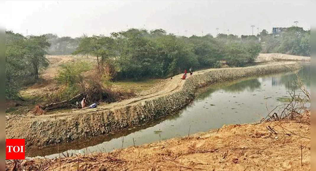 Man Made Hurdles Delay Notification Of Delhi Wetlands Delhi News