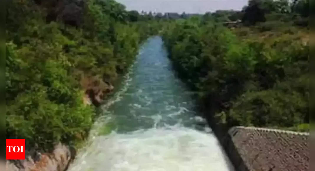 with-rs-1-400-crore-grant-ken-betwa-link-to-take-off-in-madhya-pradesh