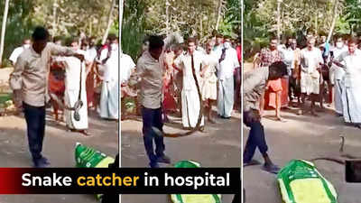 Kerala famous snake catcher Vava Suresh in hospital after the cobra he went to rescue bit him