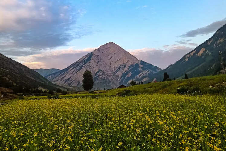 ​Experience Gurez Valley