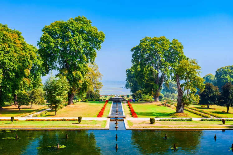 ​The enchanting gardens