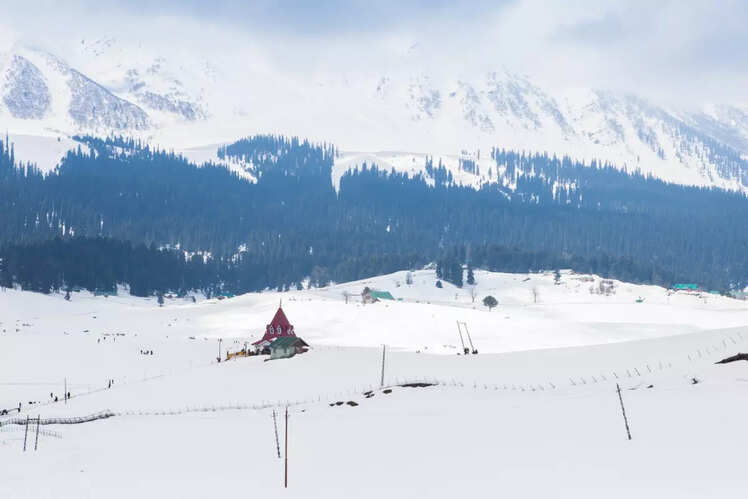 ​Ski through powdery snow