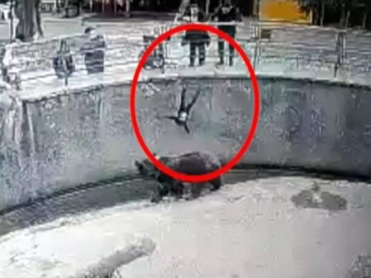 Seni eshakda sikaman ogizda