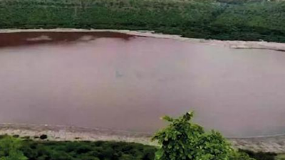 Uttar Pradesh: Sarus habitat, Bakhira sanctuary declared tenth Ramsar site of state