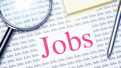 Jaipur: Job process legal, says Haridev university vice-chancellor