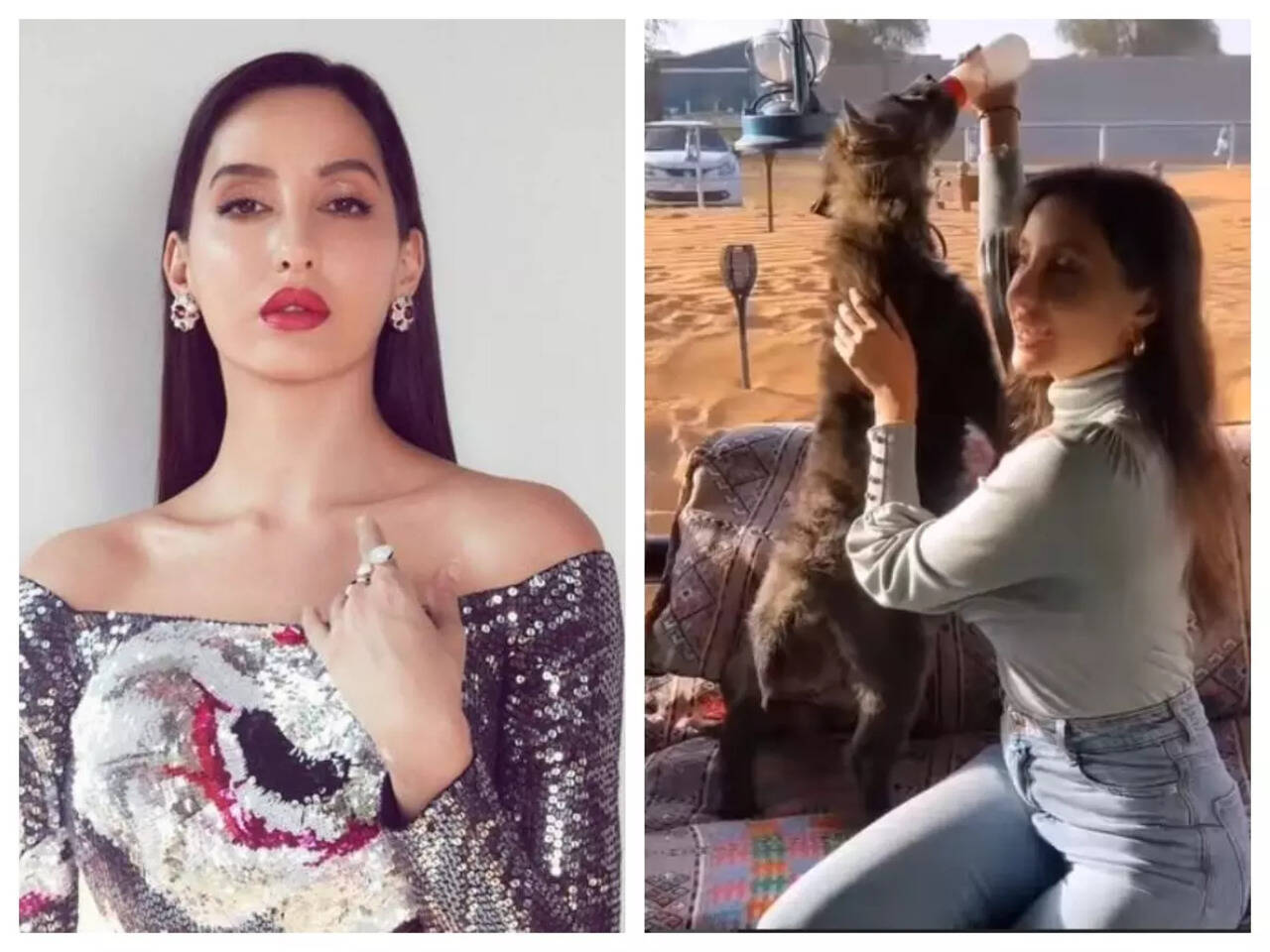 Nora Fatehi pouts with a chimp, feeds hyena in new videos from her Dubai  vacation – Watch | Hindi Movie News - Times of India