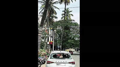 Bengaluru: Fear of coconuts keeps these residents on their toes