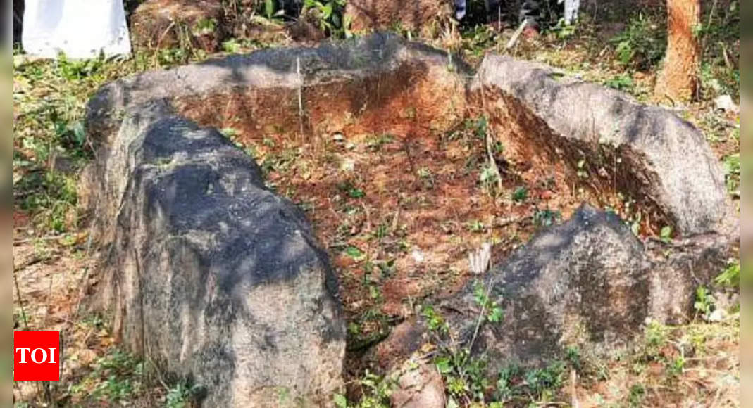 Tamil Nadu: Ancient burial site found in Pudukottai village | Trichy ...