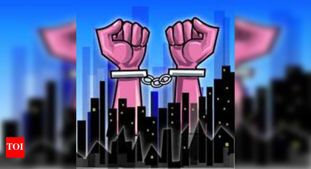 Indian teenager held in US for saving mother - The Times of India