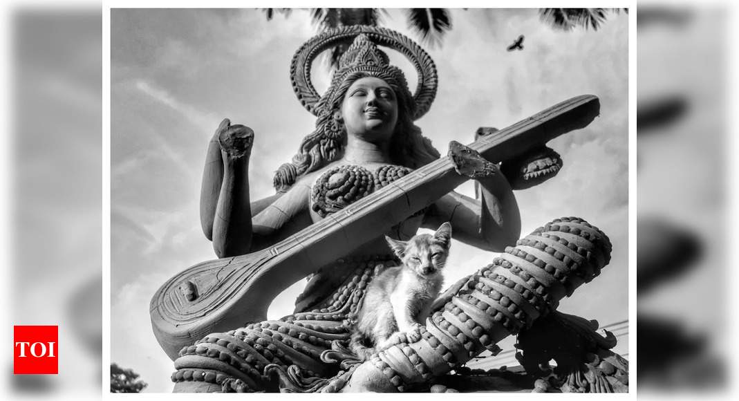 Basant Panchami 2022 Saraswati Puja Date Timings Significance And Foods Times Of India 8713