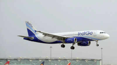 Billionaire Bhatia to helm IndiGo after surprise swing to profit