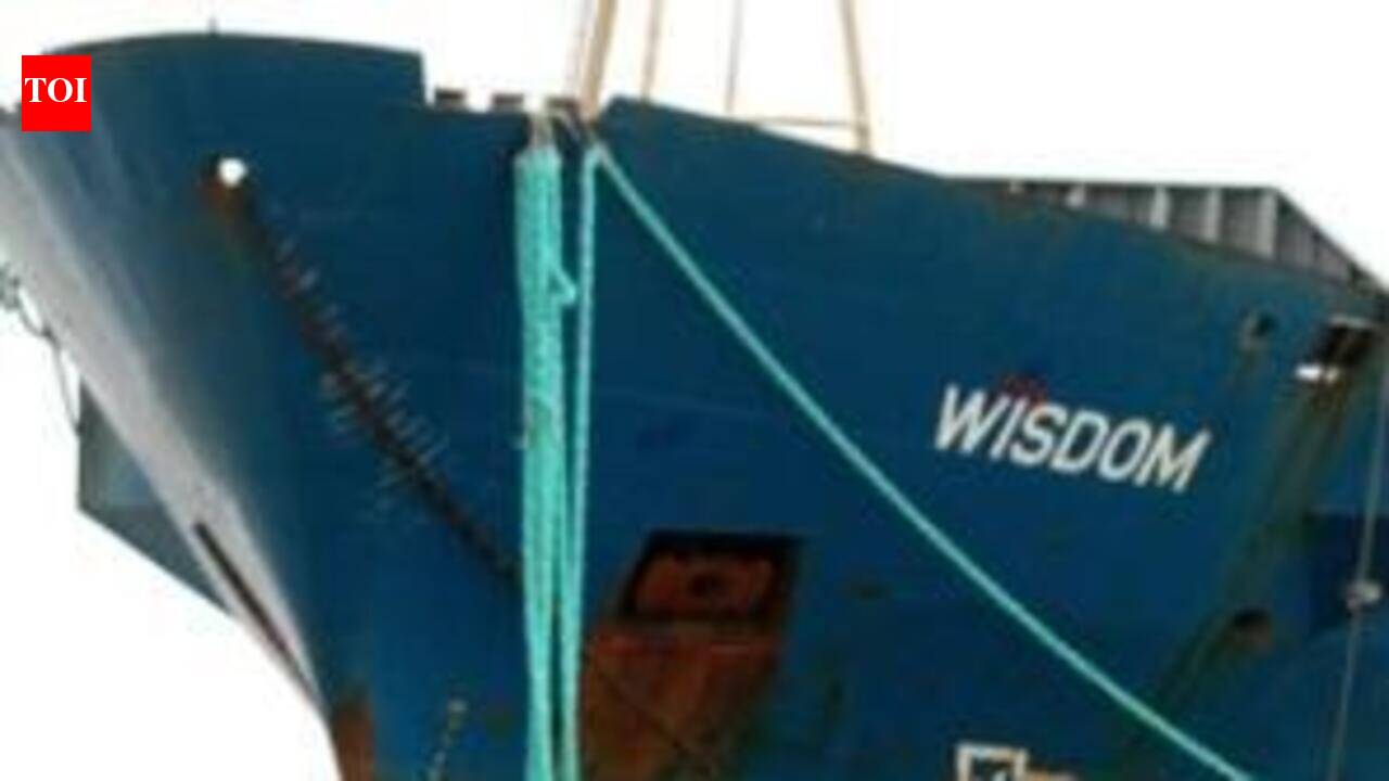 Cargo ship 'Wisdom' attracts crowds