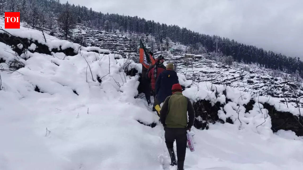In pics: Heavy snowfall freezes life in Uttarakhand, Himachal Pradesh