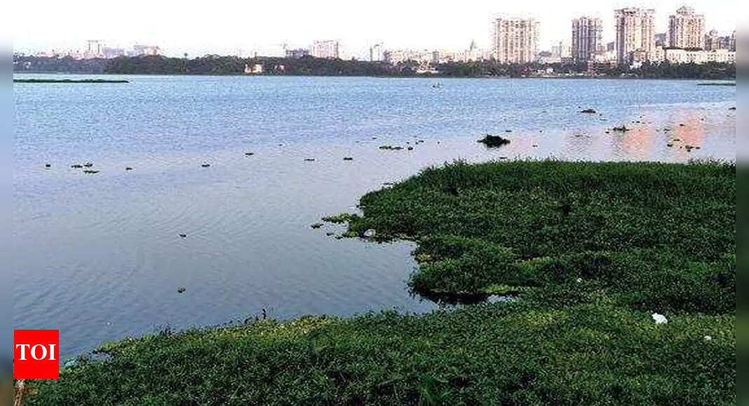Powai: Civic Body To Commission Eco Study Of Powai Lake | Mumbai News ...
