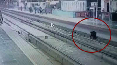 Watch: Man falls on track at Shahdara metro station, saved by CISF jawan