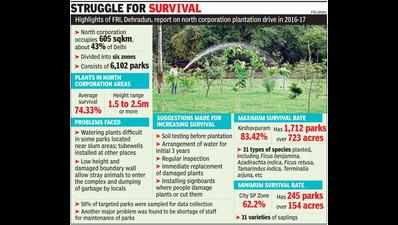 Hope takes root: Neutral audit says 75% of saplings planted by N corpn survived