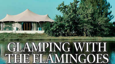 Glamping with the flamingoes