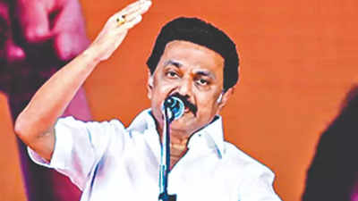 Southern clarion call: Why Tamil Nadu CM M K Stalin sounds bugle of social justice