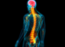 Novel human spinal cord implants to treat chronic paralysis