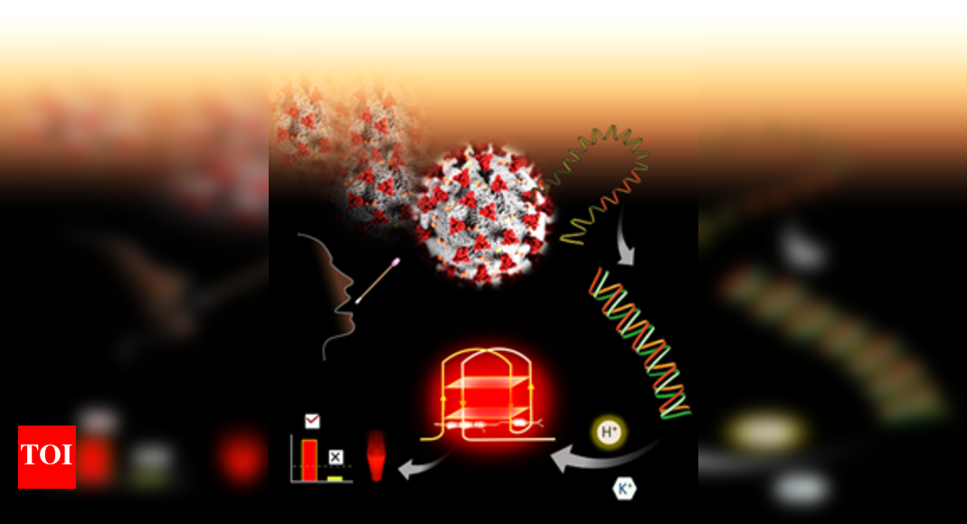 Indian scientists develop tech to detect coronavirus by fluorescent ...