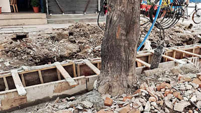 Delhi: 80 trees damaged on Vikas Marg due to exposed roots