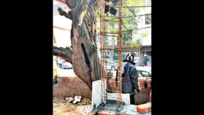 PWD fined Rs 38.7 lakh for concretisation of trees in south Delhi
