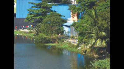 Ramapuram Lake Beautification Near Completion | Chennai News - Times of