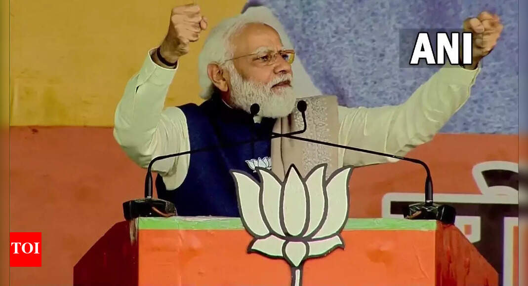 BJP stands in solidarity with every victim Muslim woman: PM