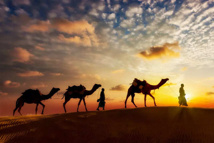 Desert safari