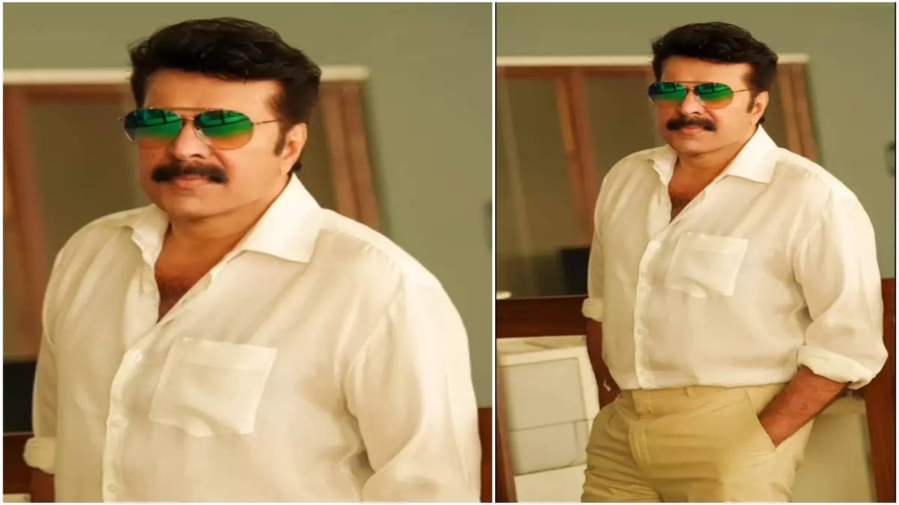 Masterpiece Box Office Success: An Analysis On Mammootty's Previous 5  Christmas Releases! - Filmibeat