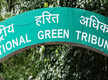 
Andhra Pradesh: NGT asks govt to get green nod for 3 reservoirs in Chittoor
