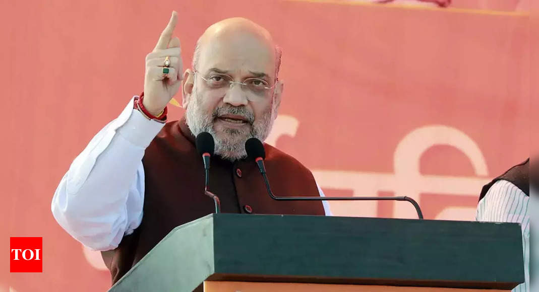 bjp:   Vote for BJP, celebrate Holi with a free gas cylinder, says Amit Shah in UP rally | India News – Times of India