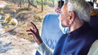 Bihar CM Nitish Kumar opens Rajgir zoo safari, thanks PM Modi for lions from Gujarat