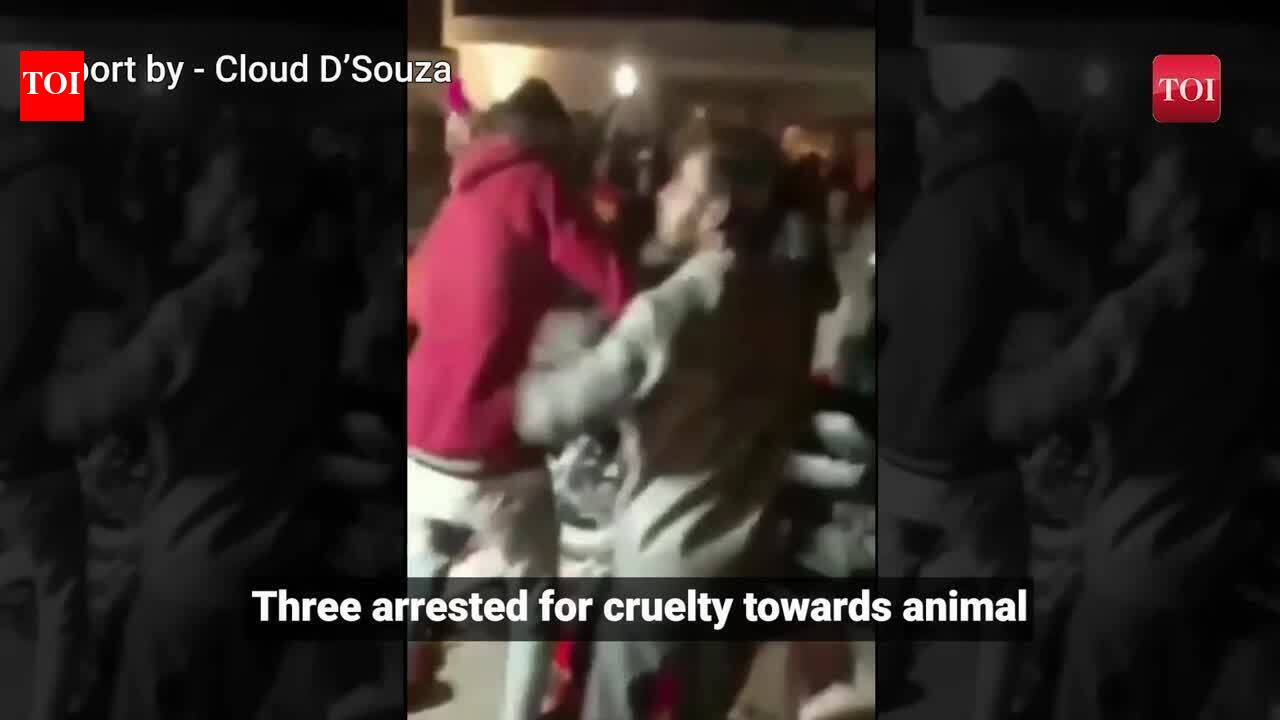 Three people arrested for cruelty towards animal