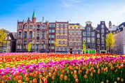 You can win a free trip to the Netherlands if you act fast! Check how